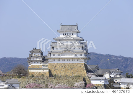 Hyogo Prefecture · Himeji Castle · Spring · Cherry blossoms in full bloom 46437673