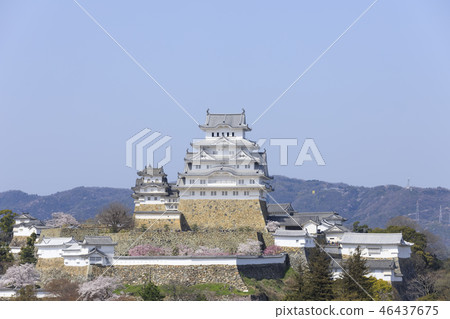 Hyogo Prefecture · Himeji Castle · Spring · Cherry blossoms in full bloom Hyogo Prefecture · Himeji Castle · Spring · Cherry blossoms in full bloom 46437675