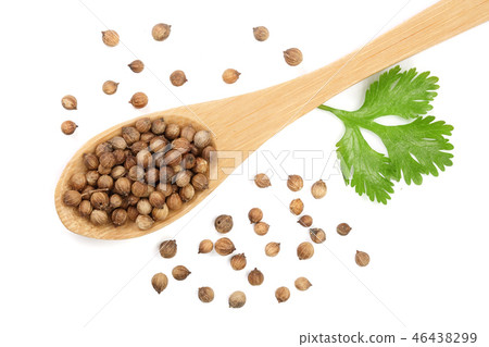 coriander seed and leaves in wooden spoon isolated on white background. Top view. Flat lay pattern 46438299