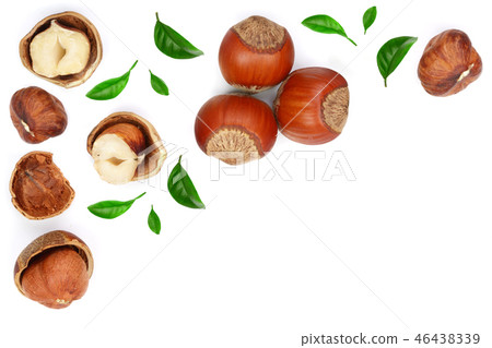 Hazelnuts with leaves with copy space for your text isolated on white background. Top view. Flat lay 46438339