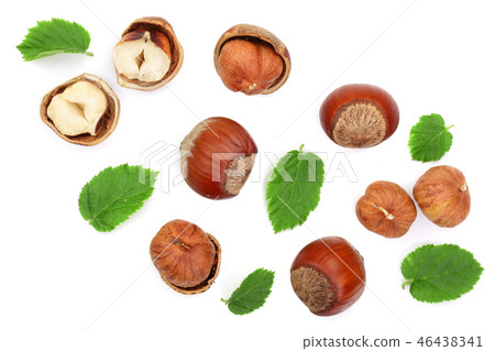 Hazelnuts with leaves isolated on white background. Top view. Flat lay 46438341