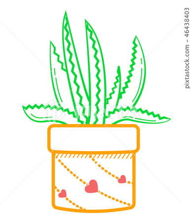 flower  Aloe linear style 46438403
