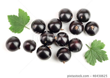 black currant with leaf isolated on white background. Top view. Flat lay pattern black currant with leaf isolated on white background. Top view. Flat lay pattern 46438625