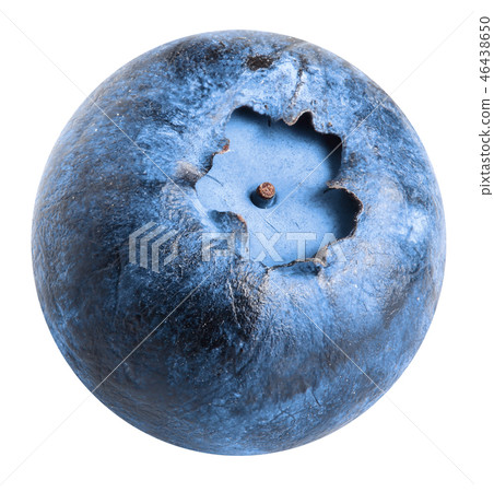 Single fresh blueberry isolated on white background 46438650