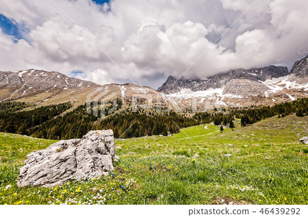 Plateau of Montasio. Mountain range landscape 46439292