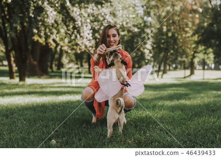 Cute puppy with fairy wings taking toy bone from his owner 46439433