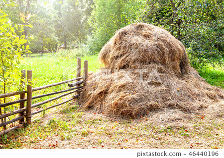Stack of dry hay on sunny summer day Stack of dry hay on sunny summer day 46440196