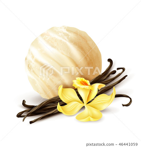 Vanilla Ice Cream Scoop Realistic  46441059