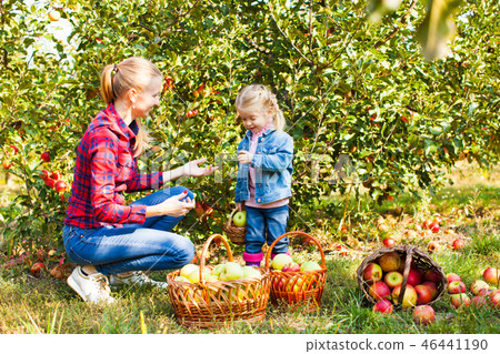 Woman and a girl at the orchard Woman and a girl at the orchard 46441190