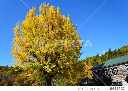 我去了Karasuma小學＃6 46441582