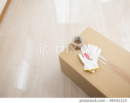 動態圖像 46442224