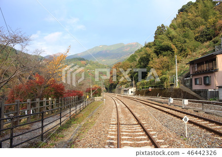 Ohoken站的風景 Ohoken站的風景 46442326