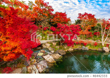 凱特寺的Benten池塘和秋葉 凱特寺的Benten池塘和秋葉 46442333