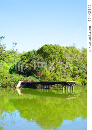 大阪古墓(世界文化遺產) 大阪古墓(世界文化遺產) 46442342