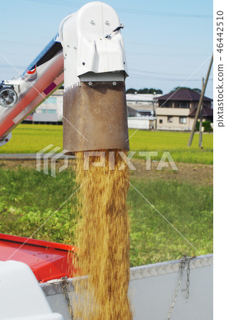 卸載柴火的卸載機 46442510