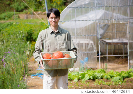 Agriculture men 46442684