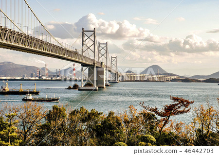 Seto Ohashi from Yojima 46442703