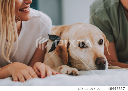 Close up of a cheerful young woman lying in bed with a dog Close up of a cheerful young woman lying in bed with a dog 46442837