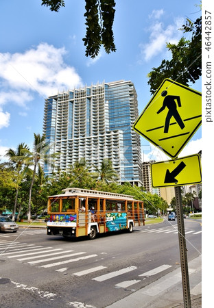 Holidays in Hawaii Holidays in Hawaii 46442857