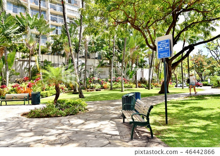 Holidays in Hawaii 46442866