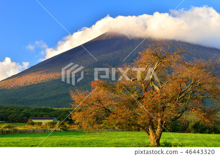 Hachimantaira秋葉 Hachimantaira秋葉 46443320