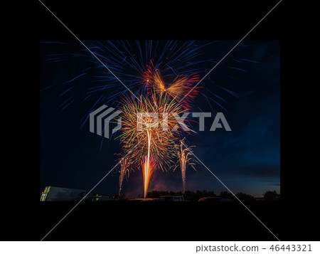 煙花 煙花 46443321