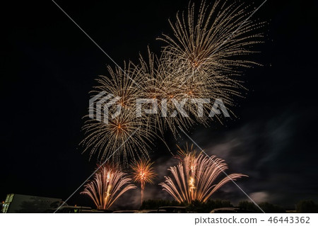 煙花 煙花 46443362