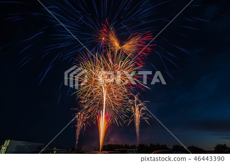 煙花 煙花 46443390