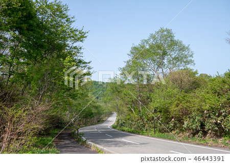 一條路 一條路 46443391