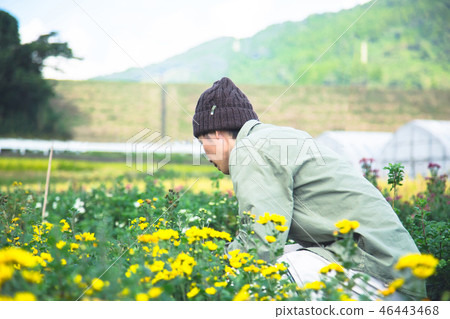 Agriculture flower gardening 46443468