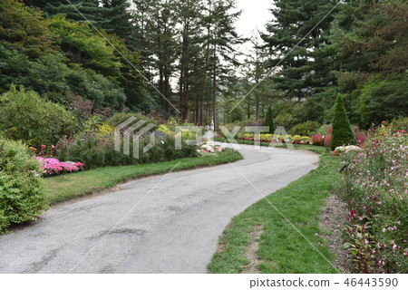 Gapyeong Morning Arboretum Forest Park 46443590