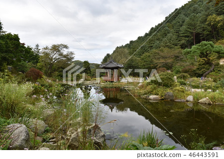 Gapyeong Morning Arboretum 46443591