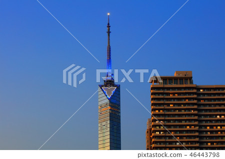 Fukuoka Tower in the evening Fukuoka Prefecture Fukuoka City Hara Ward Seaside Momochi Light up 46443798