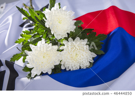 An emblem of Korea and Koreans concept, with national flag 'Taegukgi', national flower 'Rose of Sharon' and so on. 173 46444850