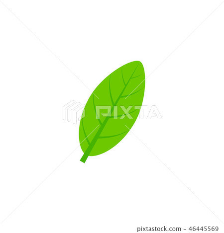 elliptic leaf flat icon 46445569