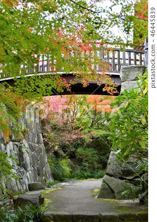 Autumn's Townscape Poetry Izumikaku 46445839