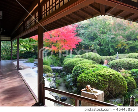 Autumn's Townscape Poetry Izumikaku 46445856