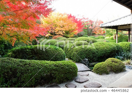 秋天的城市景觀詩Izumikaku 46445862