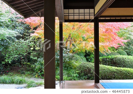 秋天的城市景觀詩Izumikaku 秋天的城市景觀詩Izumikaku 46445873