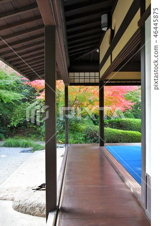 Autumn's Townscape Poetry Izumikaku 46445875
