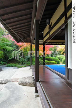 Autumn's Townscape Poetry Izumikaku 46445876