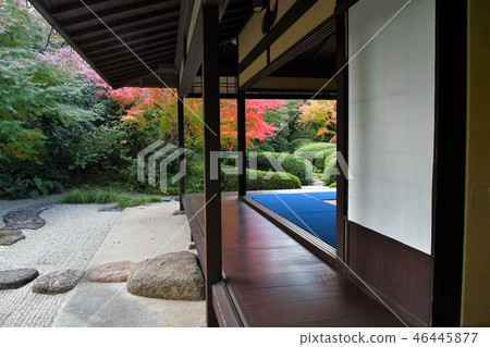 Autumn's Townscape Poetry Izumikaku 46445877