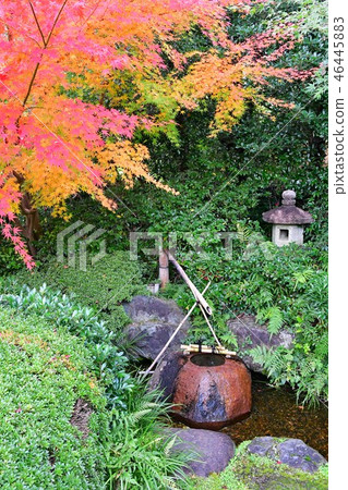 Autumn's Townscape Poetry Izumikaku 46445883