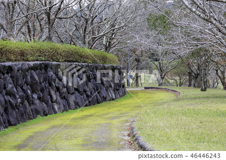 Oshinoike Park winter scenery Oshinoike Park winter scenery 46446243