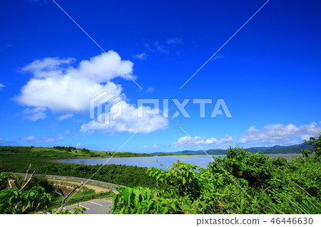 Kohamajima Ishinagada海岸紅樹林社區 46446630