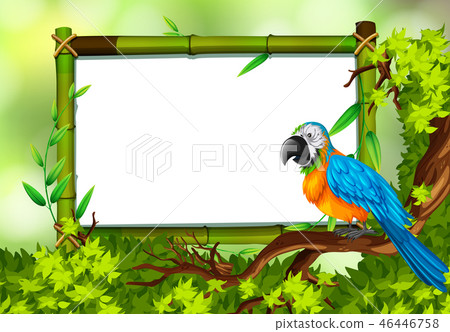 Parrot on nature green template 46446758