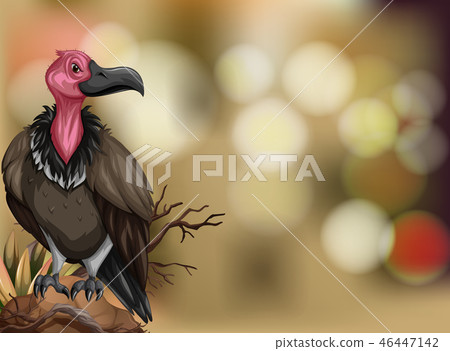A vulture on blurry background 46447142