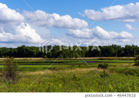 Lake Country Lake Country 46447618