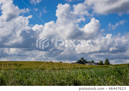 Farming Fields Farming Fields 46447623
