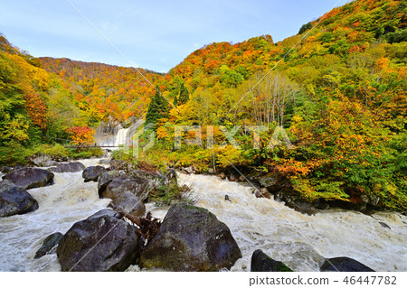 Mt. Nagara Falls autumn leaves 46447782